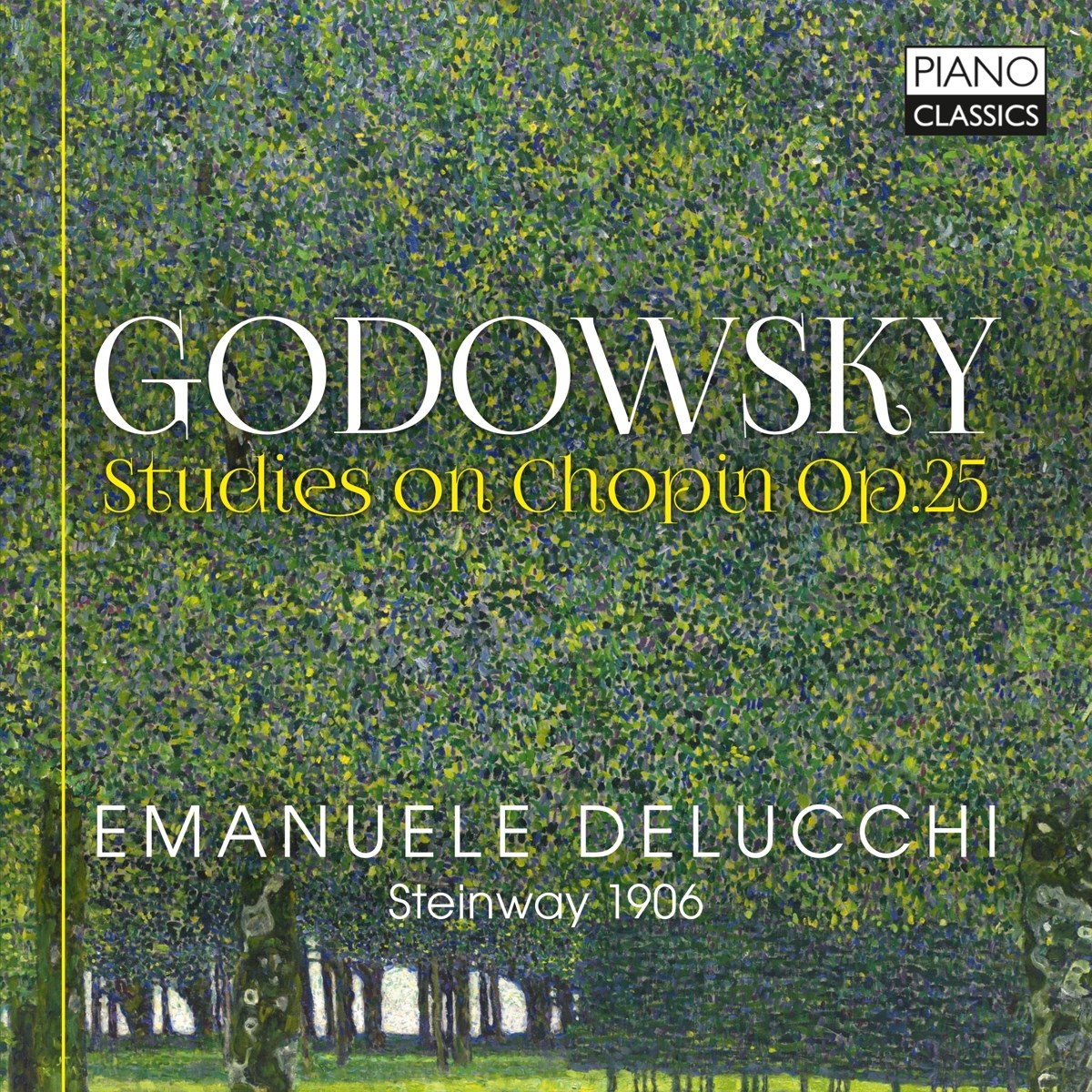 Afbeelding van Godowsky: Studies On Chopin Op.25