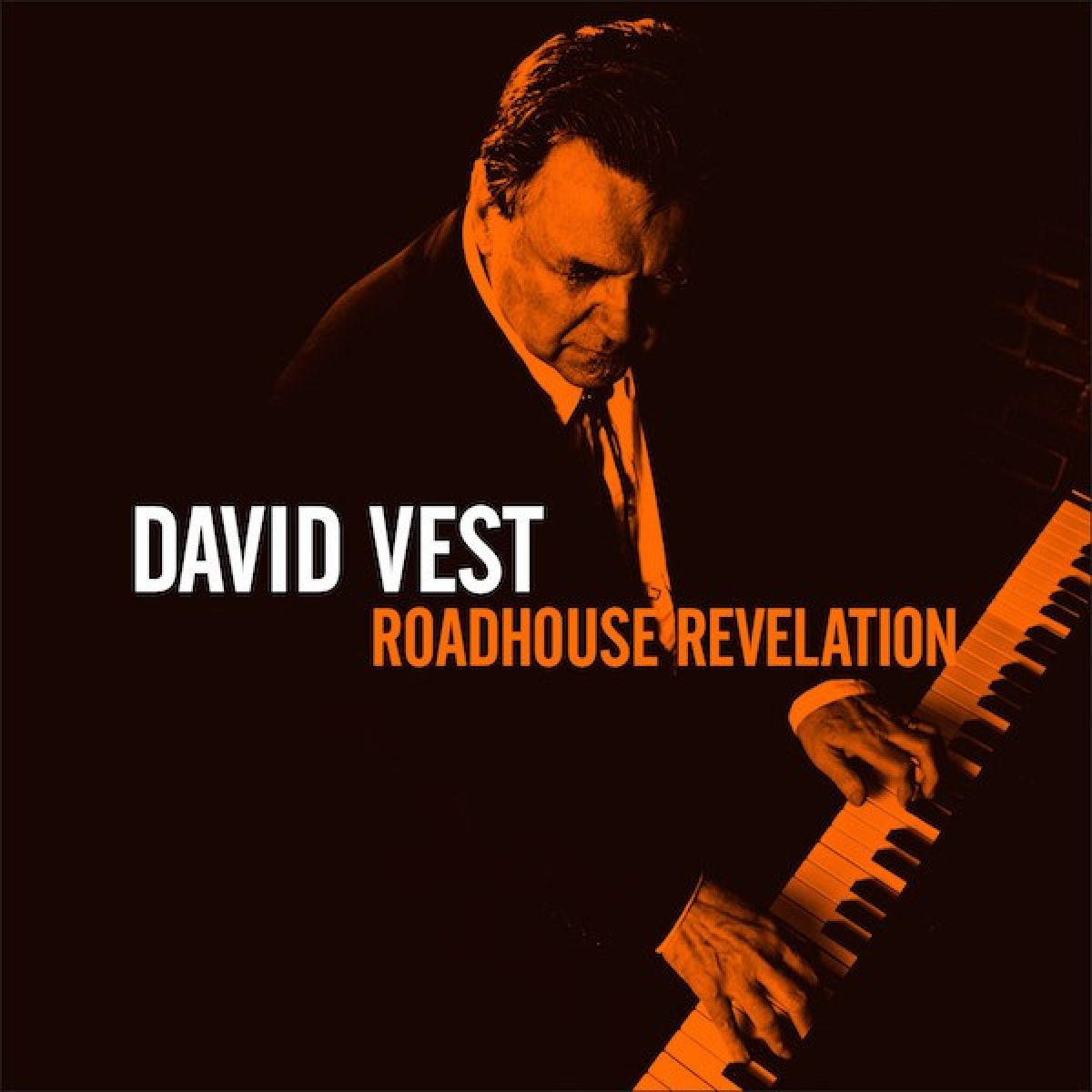 Afbeelding van David Vest - Roadhouse Revelation