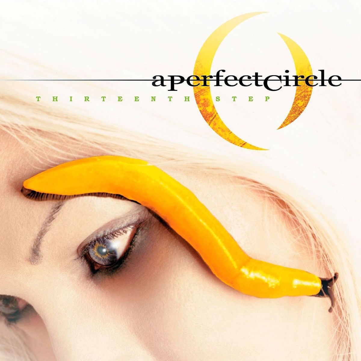Afbeelding van A Perfect Circle - Thirteenth Step