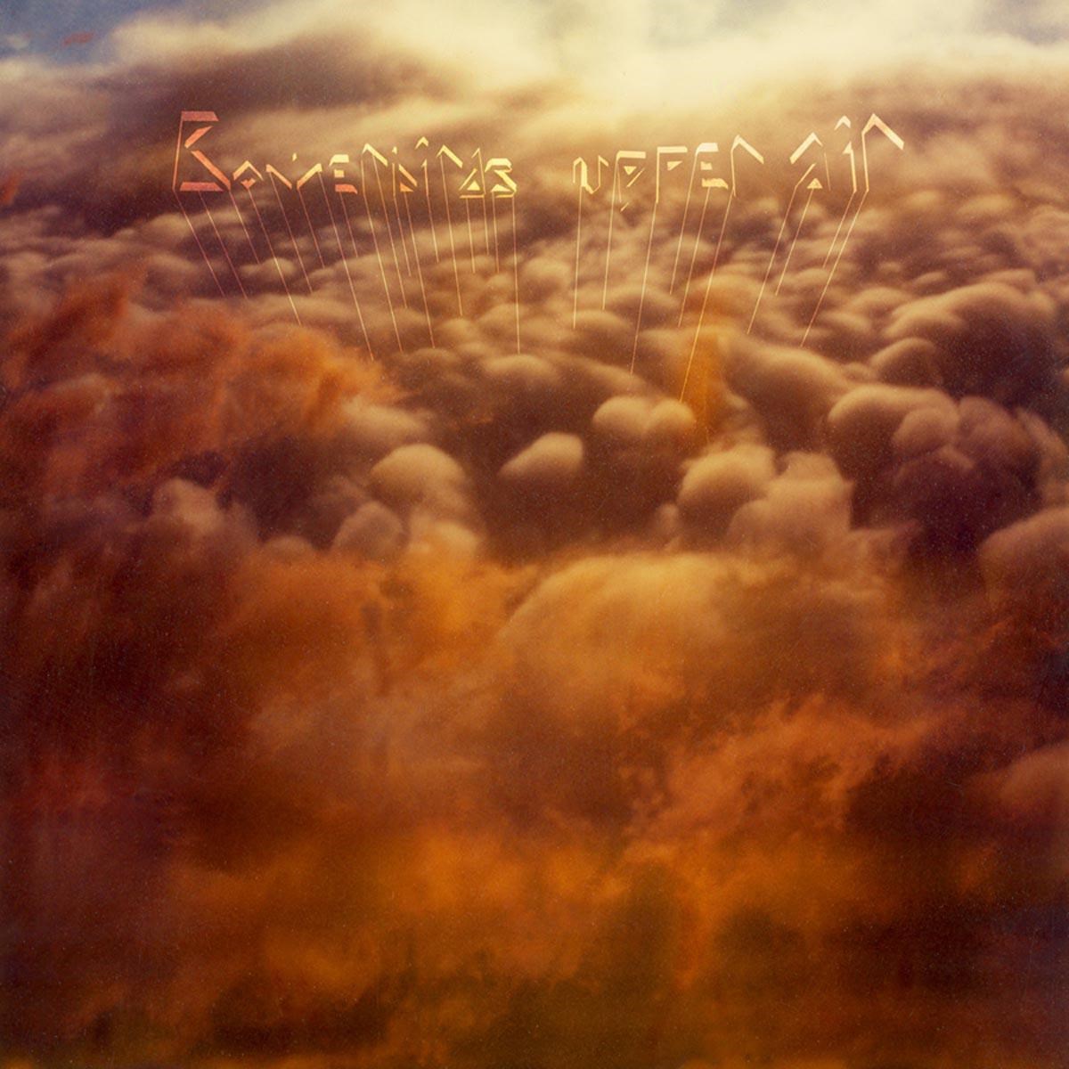 Afbeelding van Bowerbirds - Upper Air