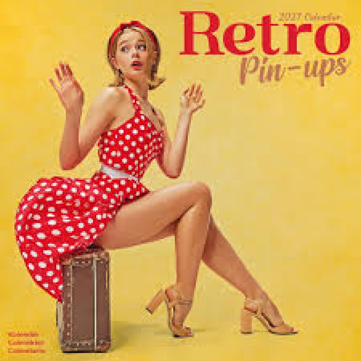 Afbeelding van Kalender 2027 - Retro Pin Ups