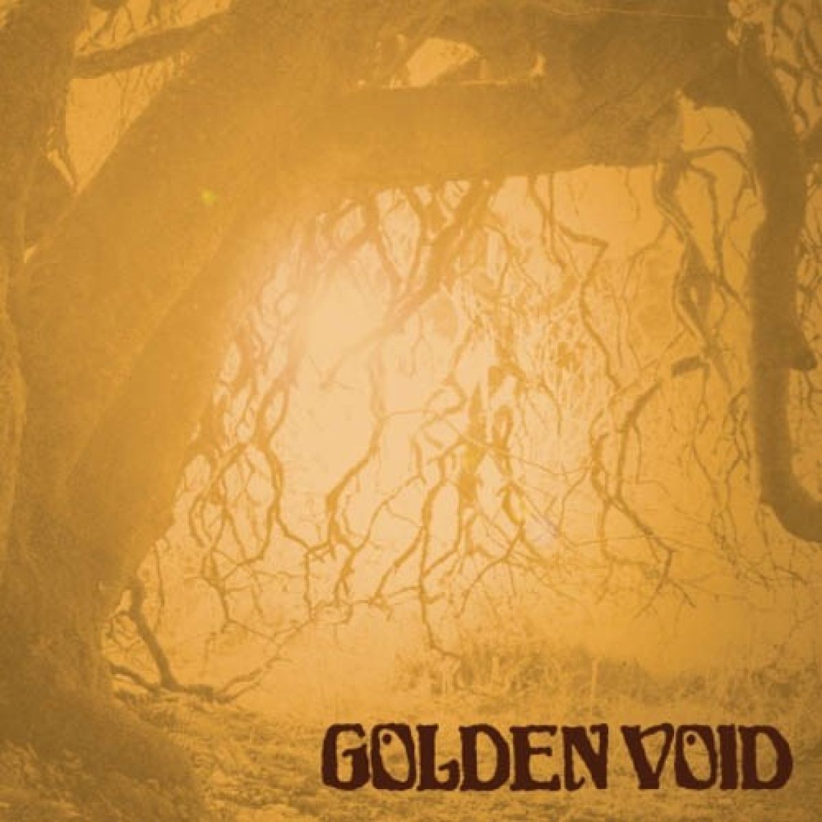 Afbeelding van Golden Void
