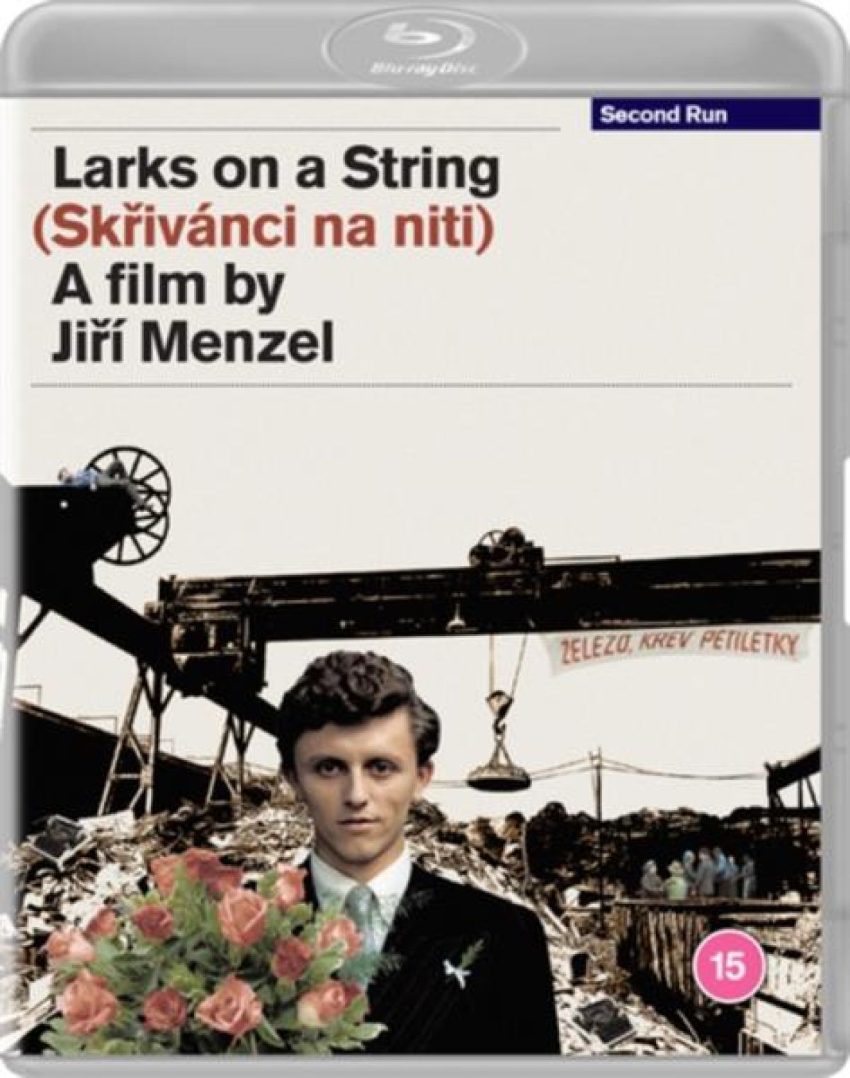 Afbeelding van Larks On A String