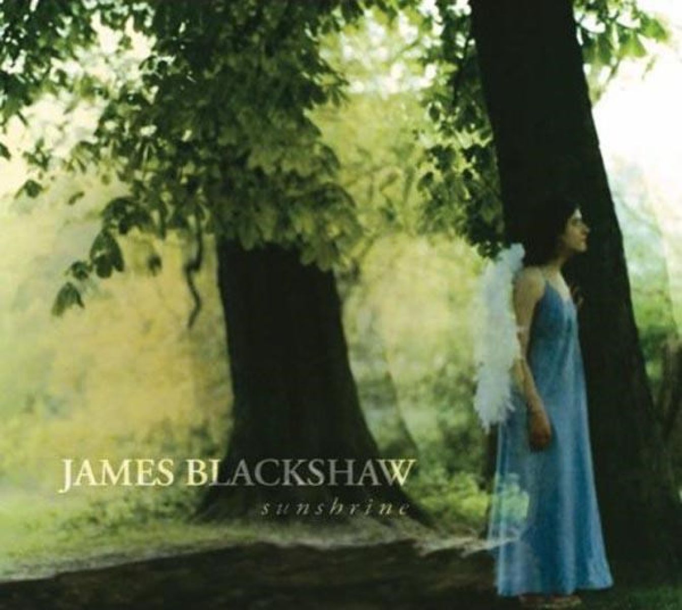 Afbeelding van James Blackshaw - Sunshrine