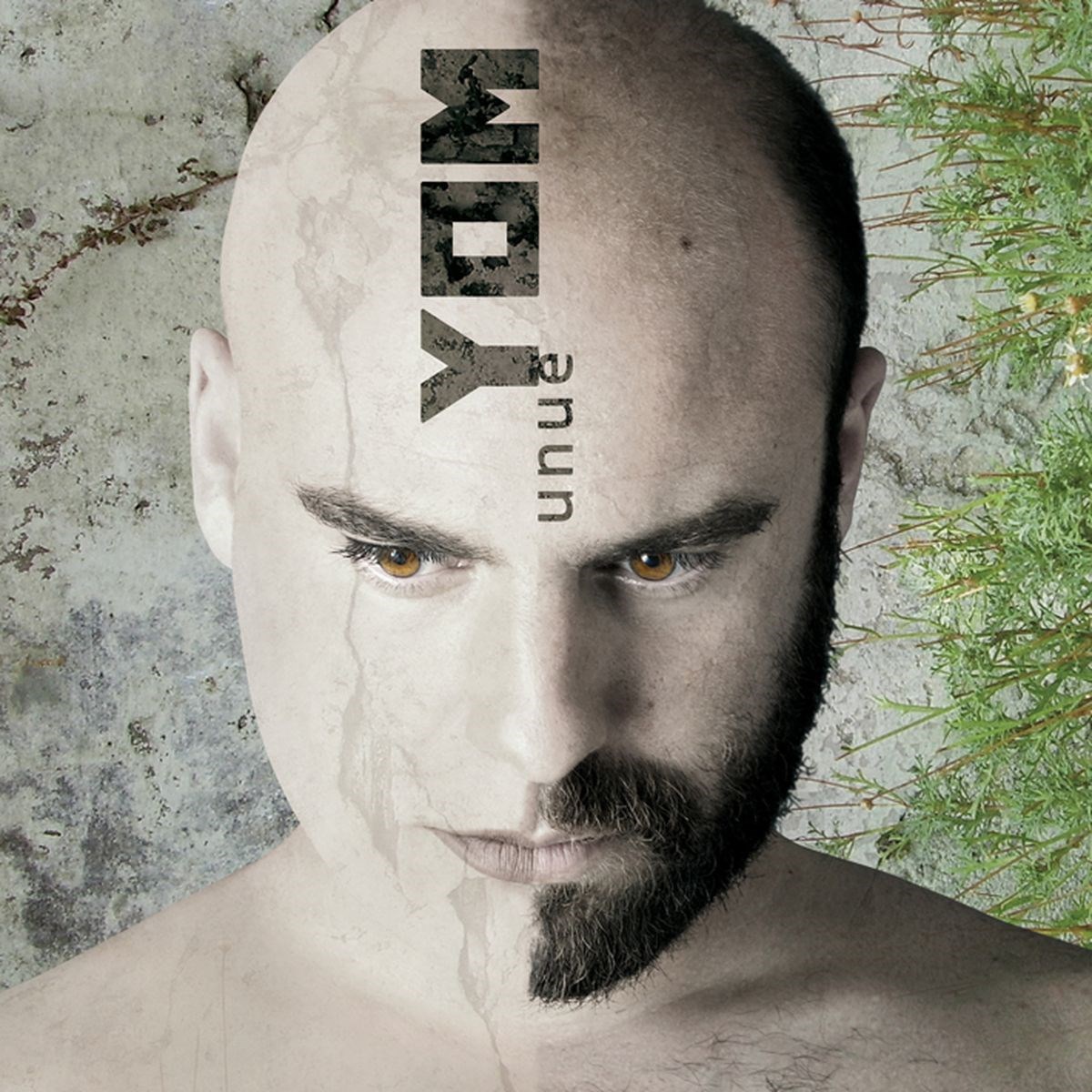 Afbeelding van Yom - Unue