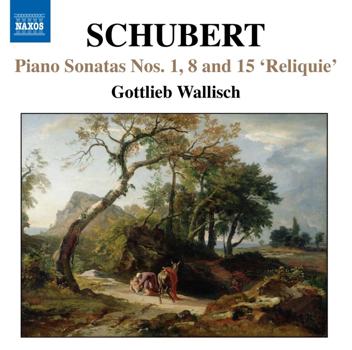 Afbeelding van Wallisch - Schubert: Piano Sonatas