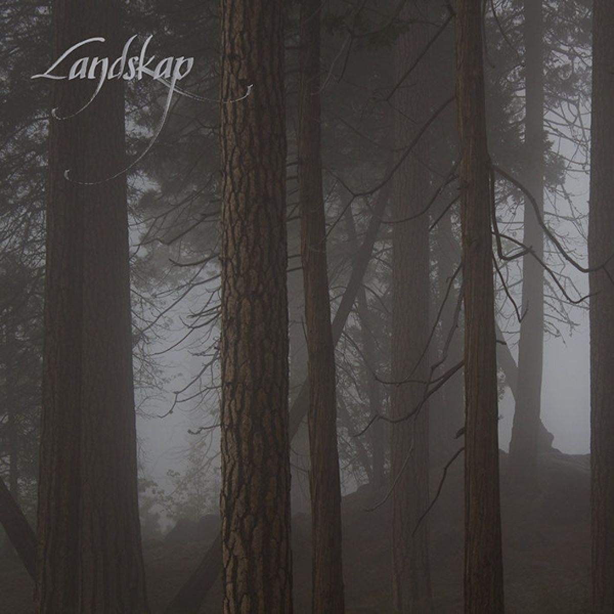 Afbeelding van Landskap - II