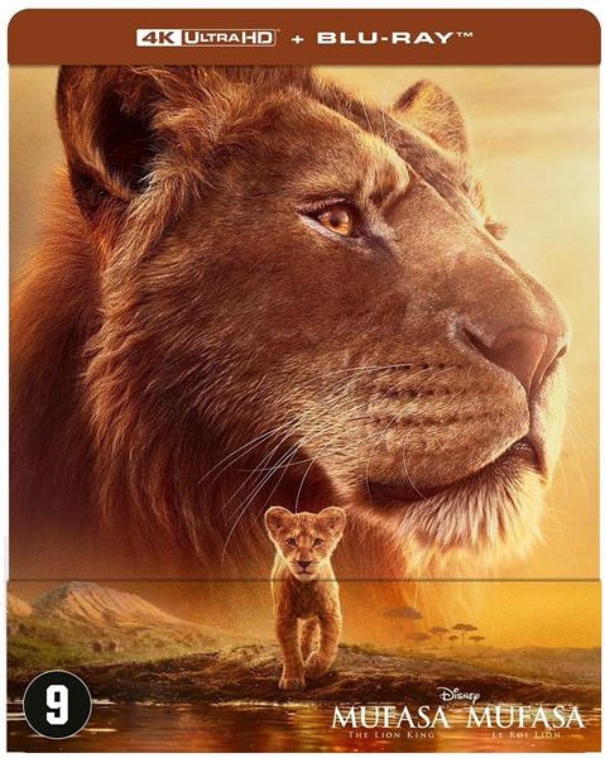 Afbeelding van Mufasa - The Lion King