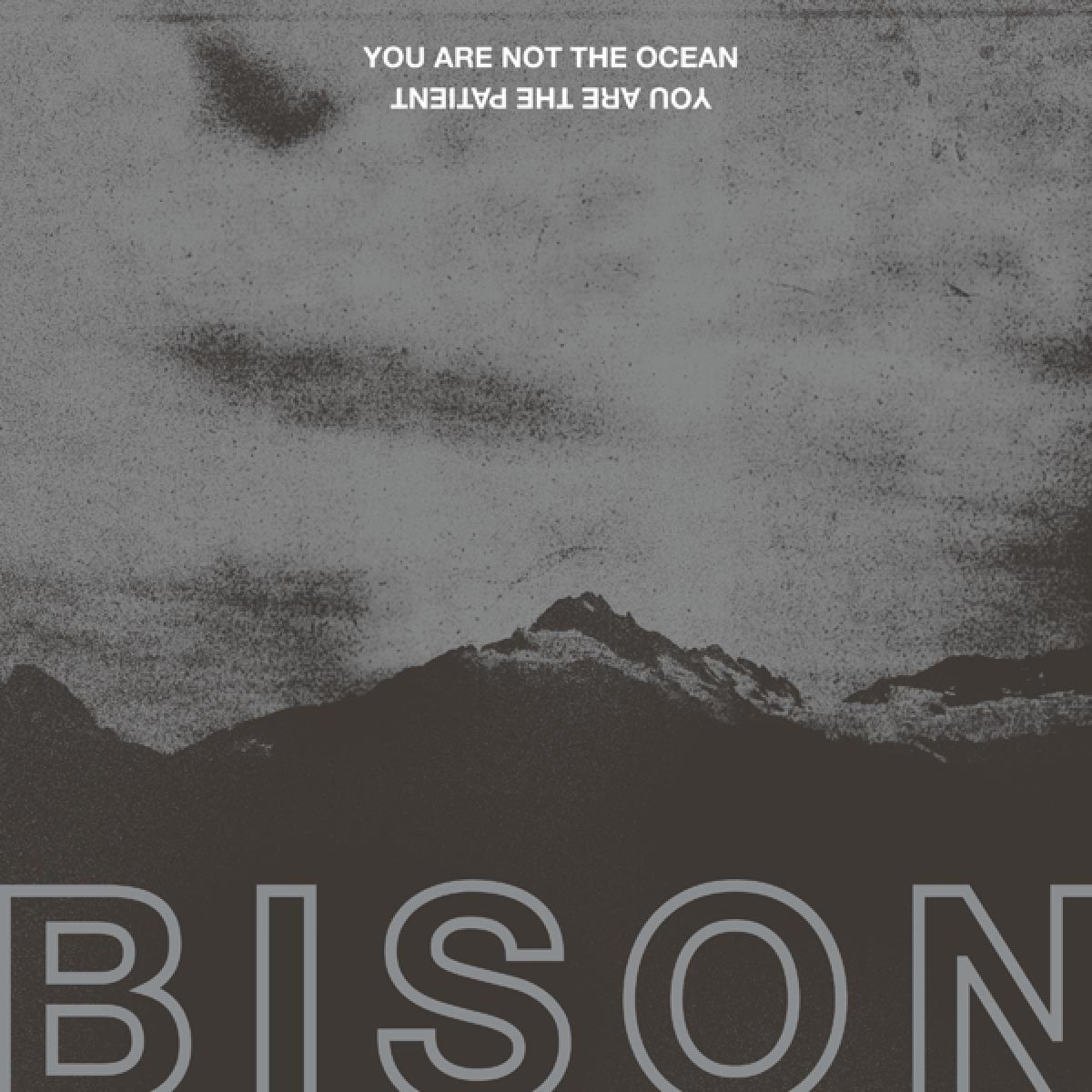 Afbeelding van You Are Not The Ocean You Are The Patient