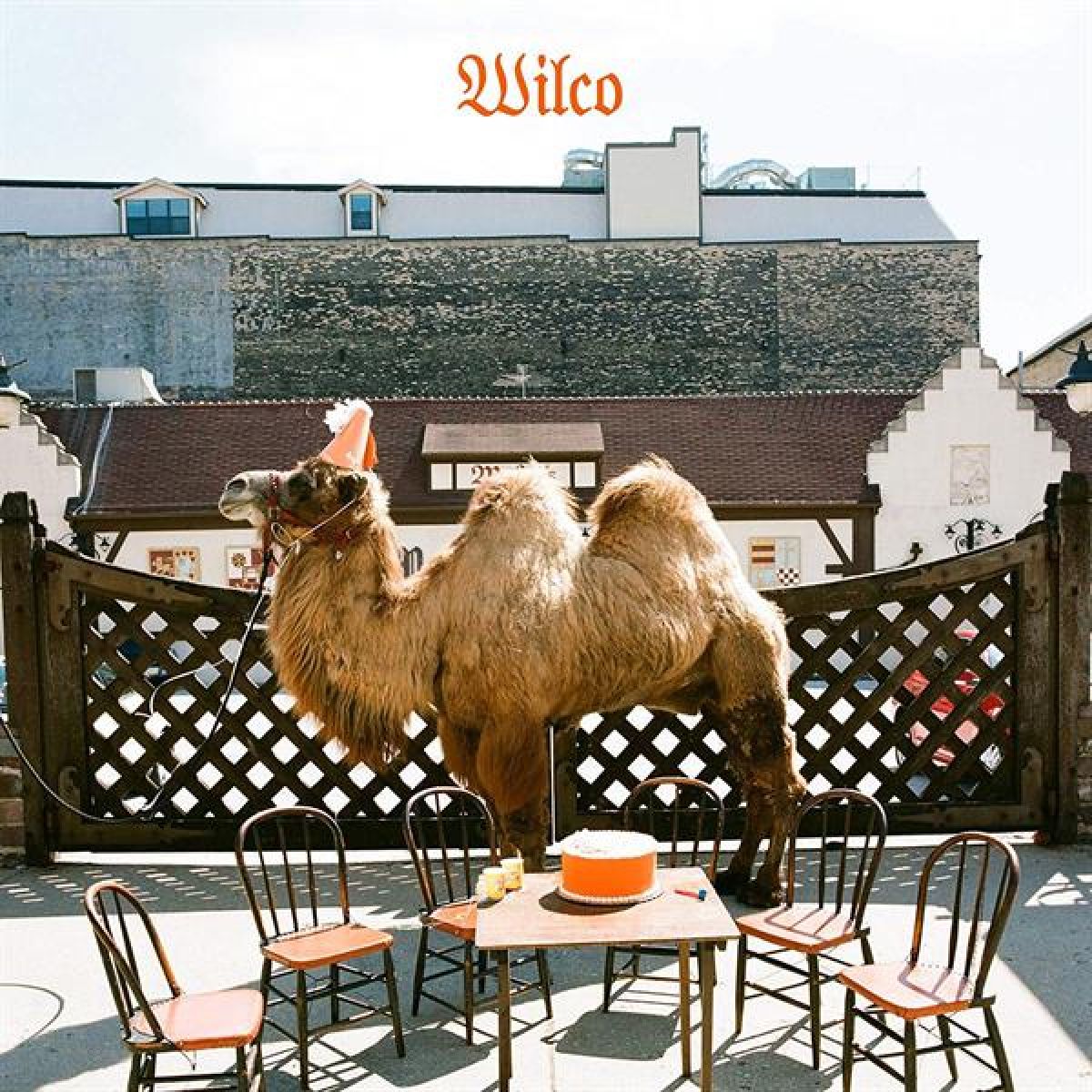 Afbeelding van Wilco (the Album)