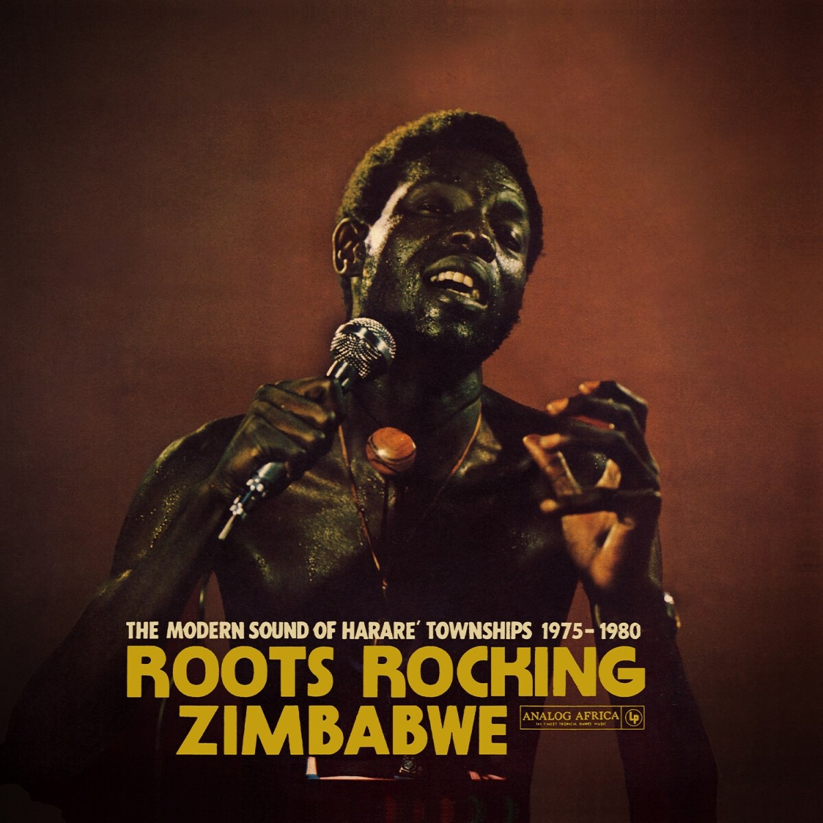 Afbeelding van Various Artists - Roots Rocking Zimbabwe