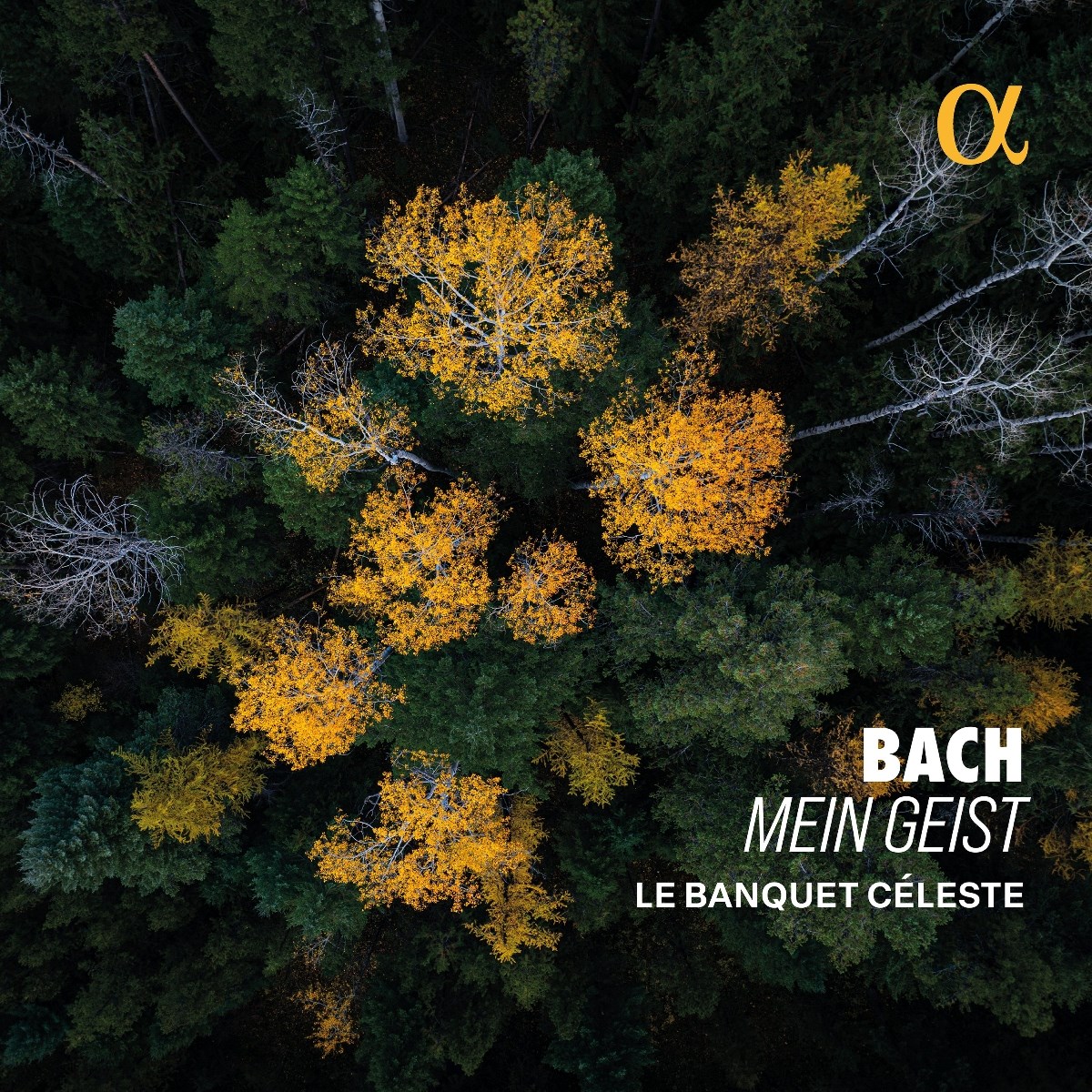 Afbeelding van Le Banquet Celeste - J.S. Bach: Mein Geist
