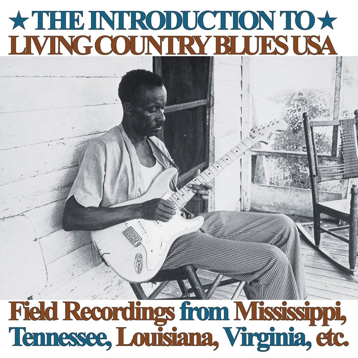 Various Artists - The Introduction To Living Country Blues USA