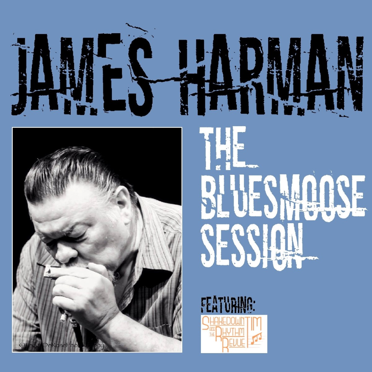 Afbeelding van The Bluesmoose Session