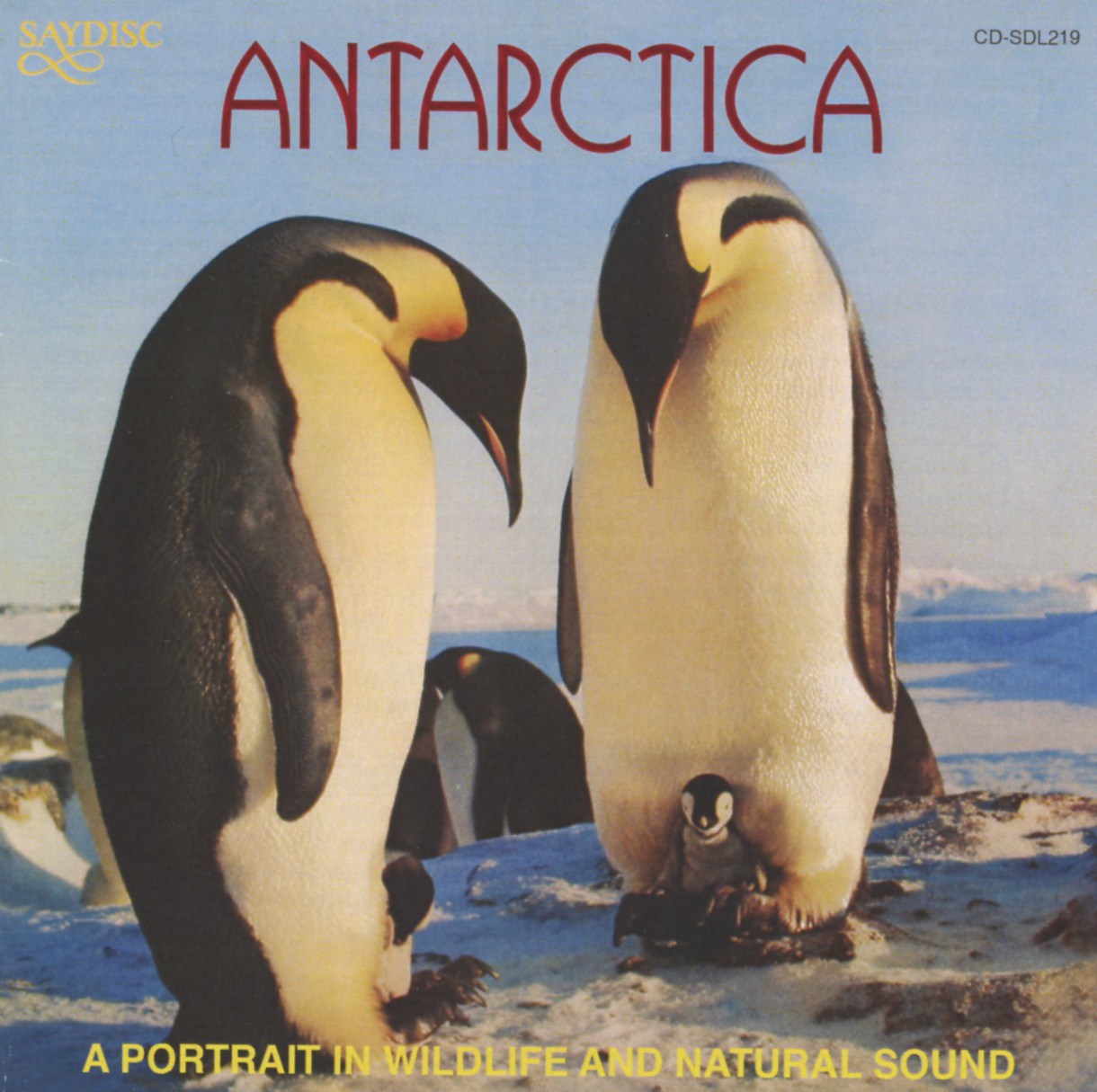 Afbeelding van No Artist - Antarctica - A Portrait In Wildlife And Nature Sound