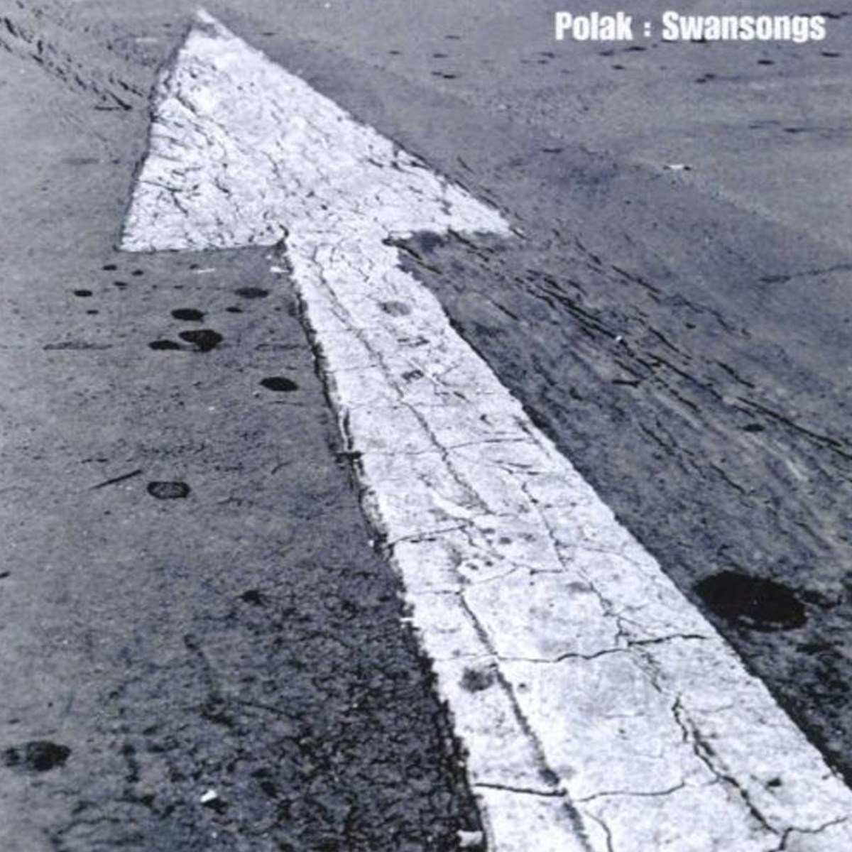 Afbeelding van Polak - Swansongs