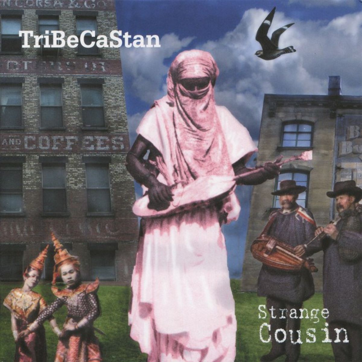 Afbeelding van TriBeCaStan - Strange Cousin