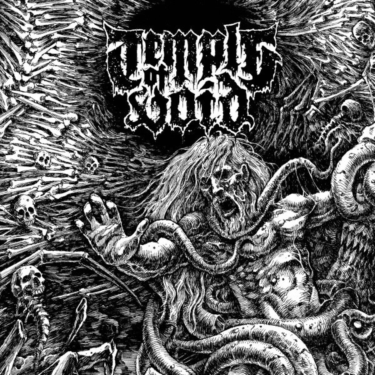 Afbeelding van Temple Of Void - The First Ten Years
