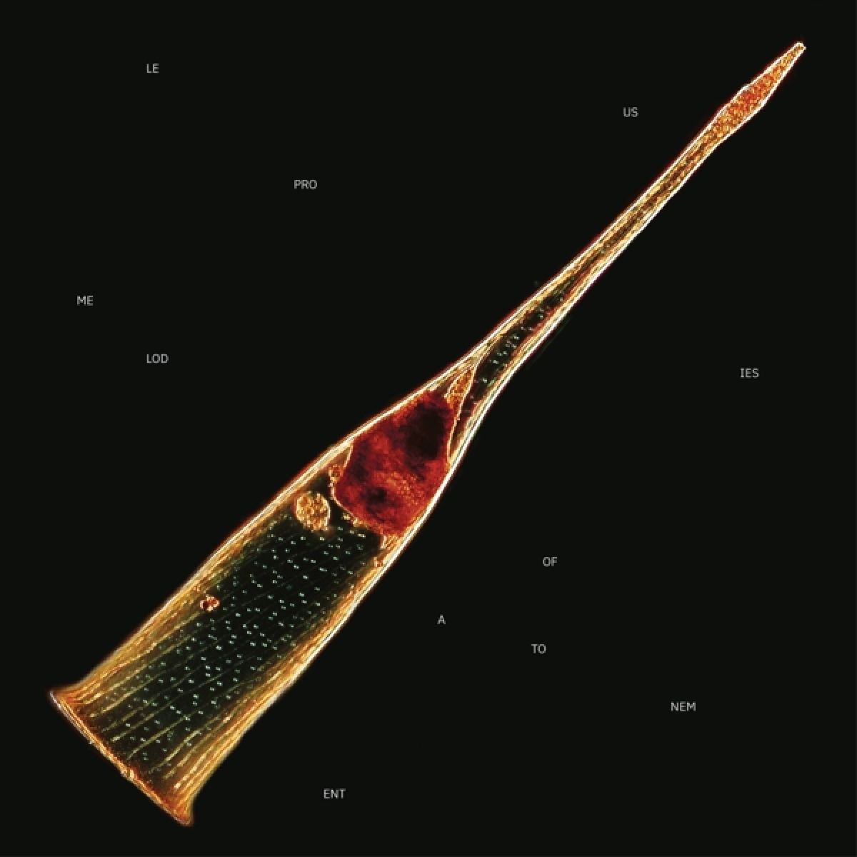 Afbeelding van Leprous - Melodies Of Atonement