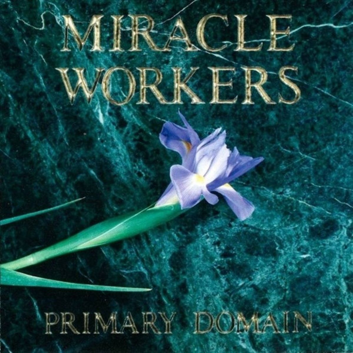 Afbeelding van Miracle Workers - Primary Domain