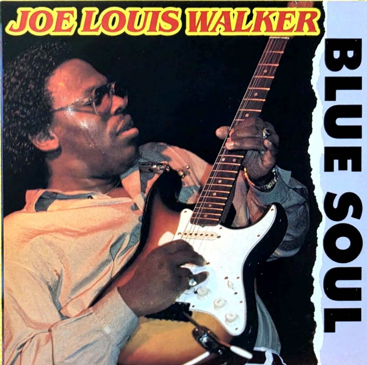 Afbeelding van Joe Louis Walker - Blue Soul