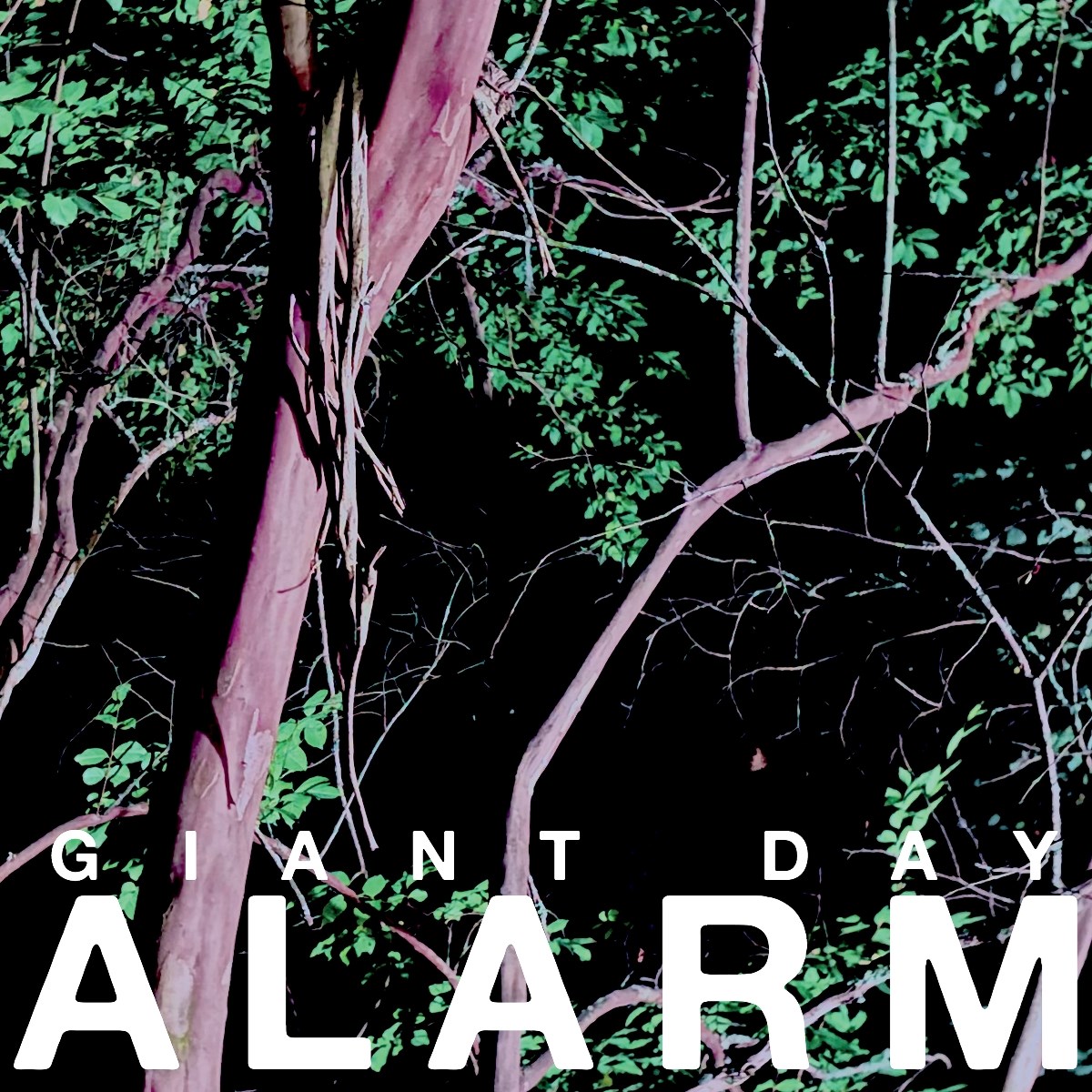 Afbeelding van Giant Day - Alarm
