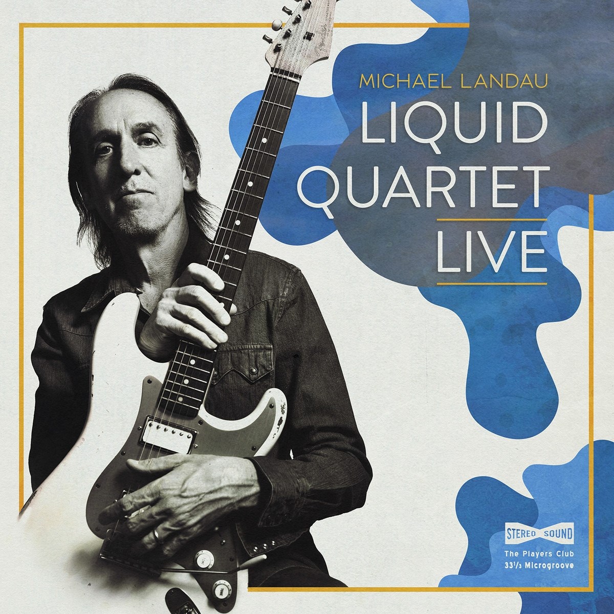 Afbeelding van Michael Landau - Liquid Quartet Live