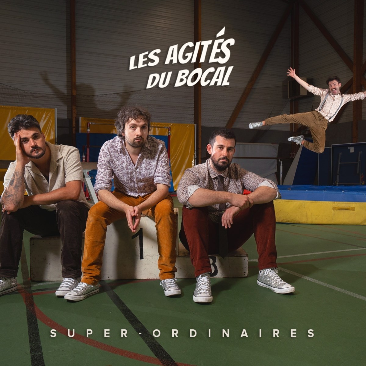 Afbeelding van Les Agités Du Bocal - Super-Ordinaires