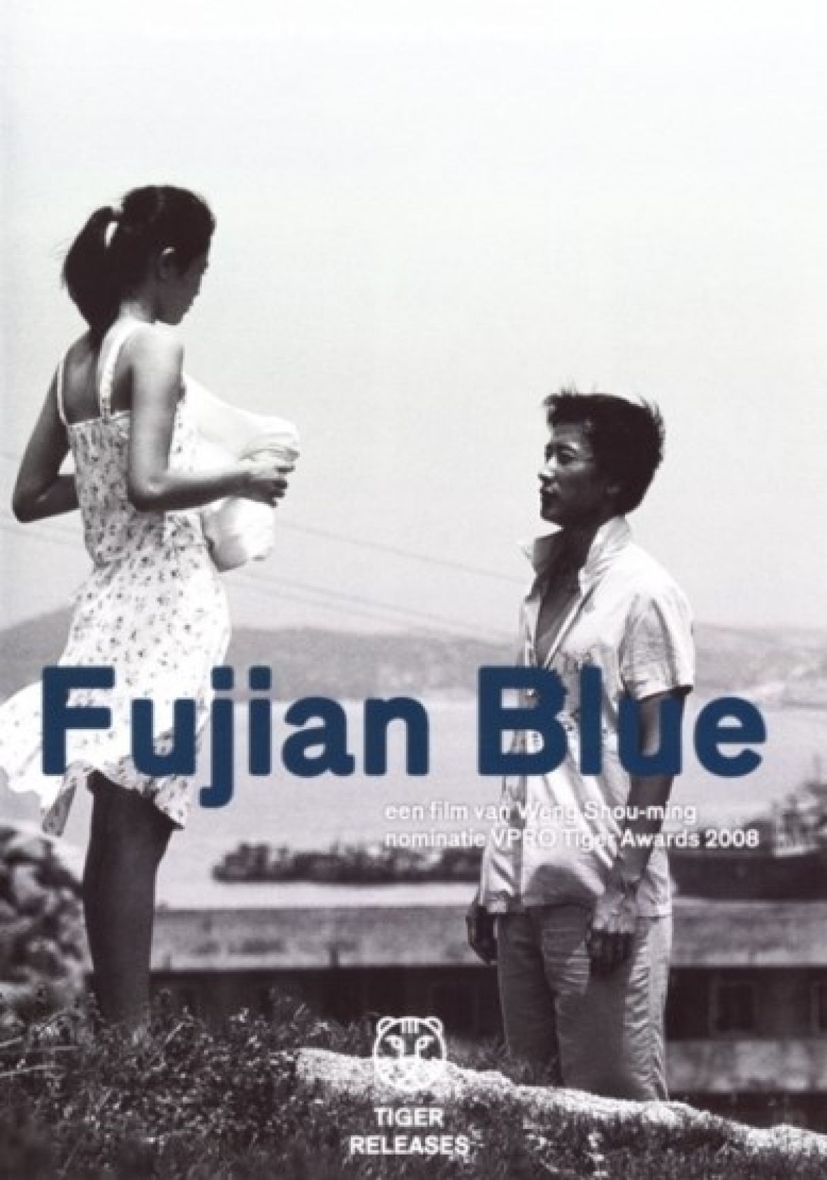 Afbeelding van Fujian Blue