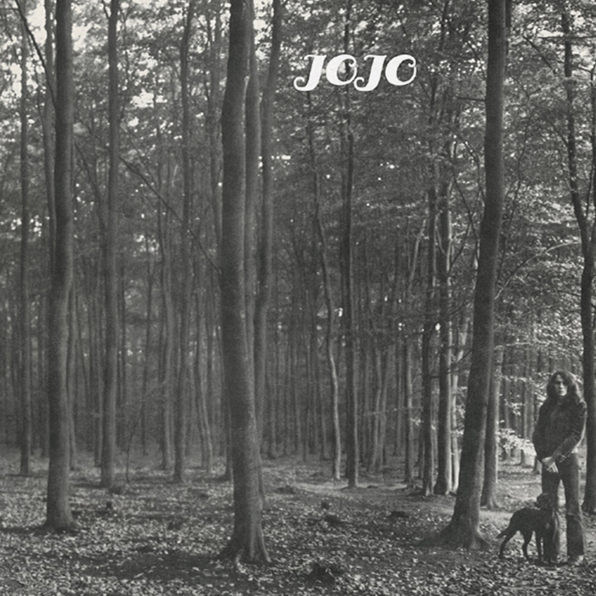 Afbeelding van George Kooymans - Jojo