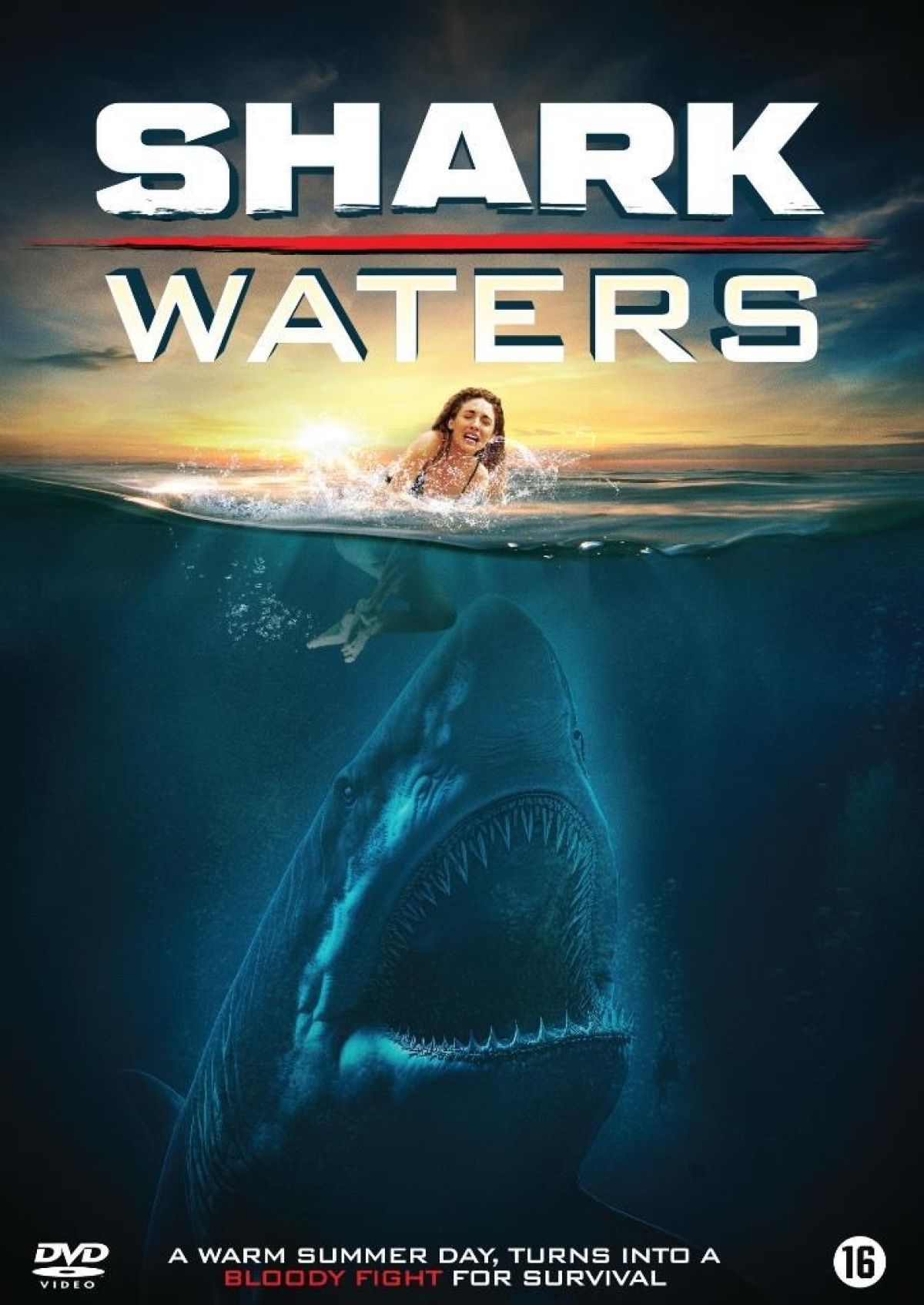 Afbeelding van Shark Waters