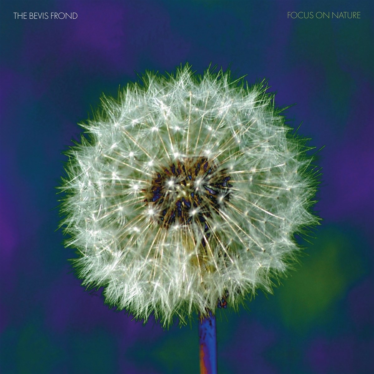 Afbeelding van Bevis Frond - Focus On Nature