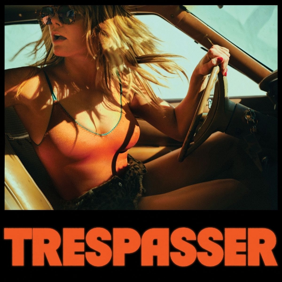 Afbeelding van Grace Potter - Trespasser