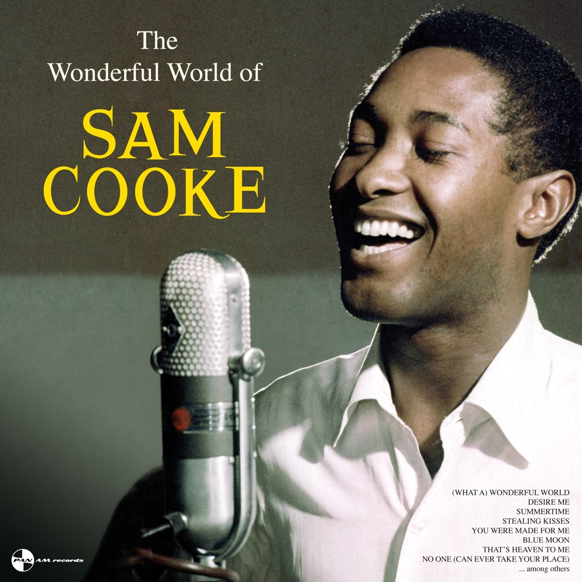 Afbeelding van Sam Cooke - The Wonderful World Of Sam Cooke