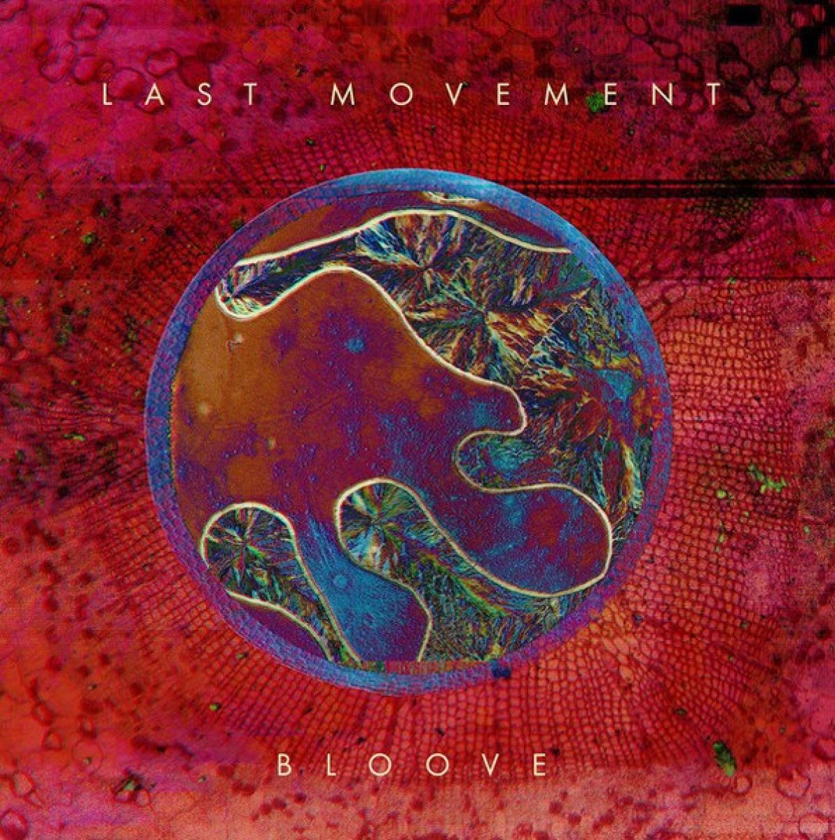 Afbeelding van Last Movement - Bloove