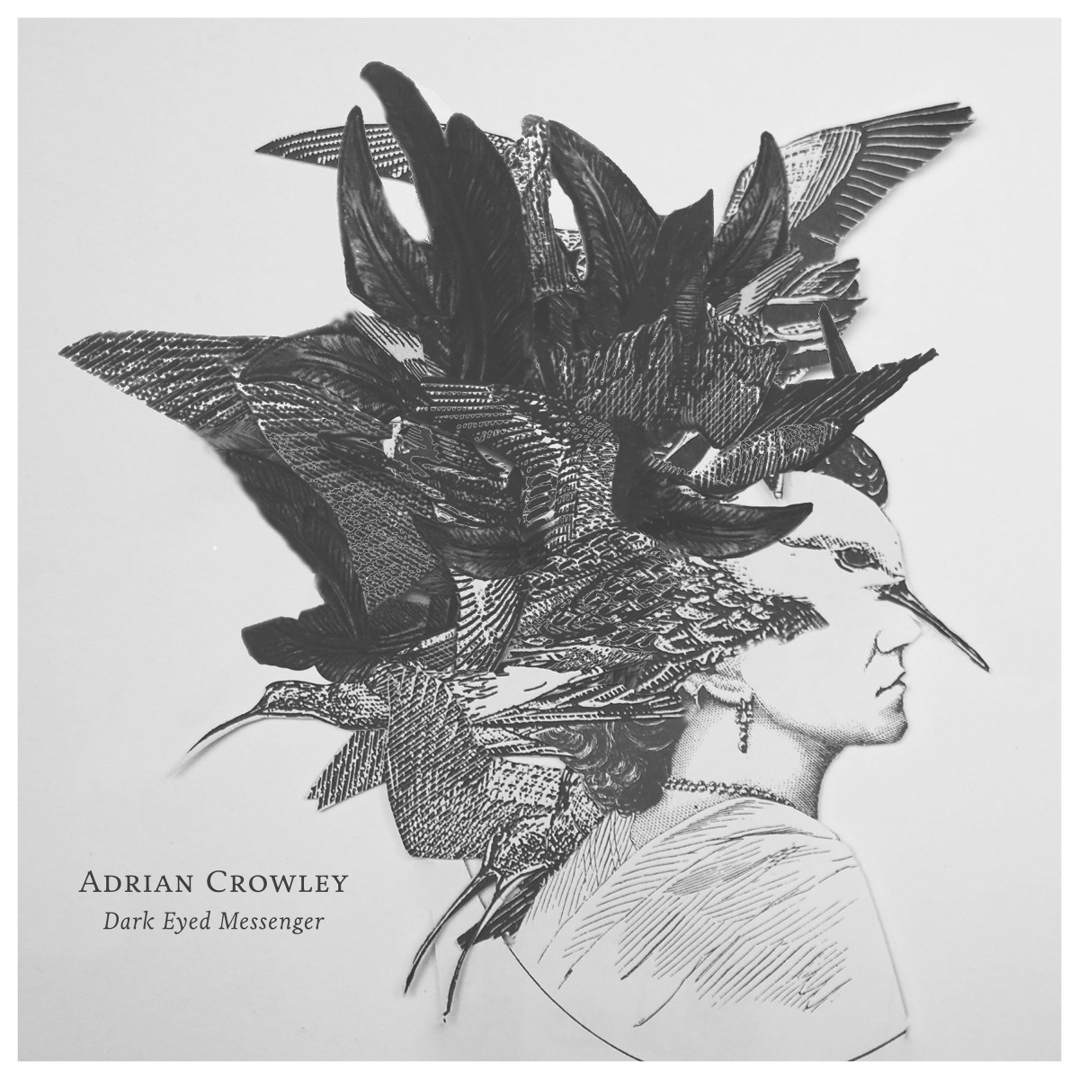 Afbeelding van Adrian Crowley - Dark Eyed Messenger