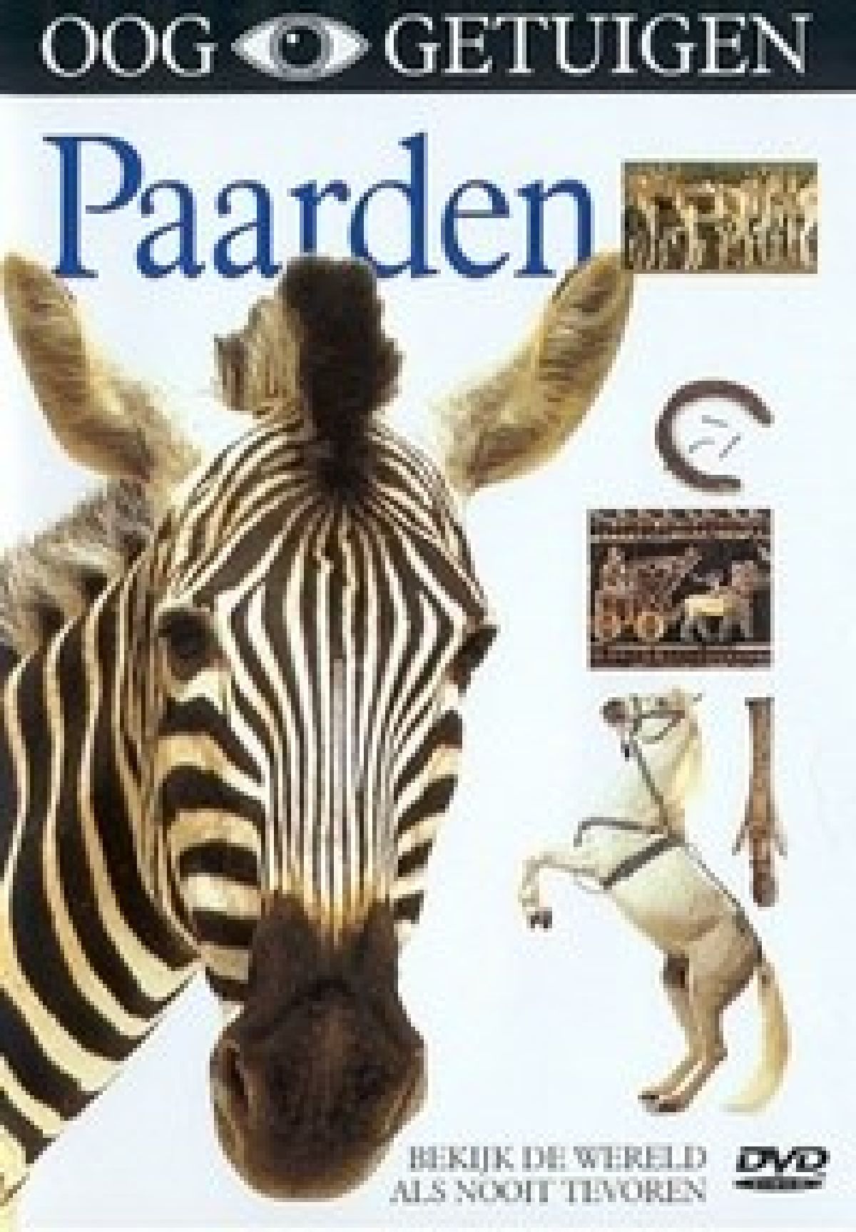 Afbeelding van Ooggetuigen - Paarden