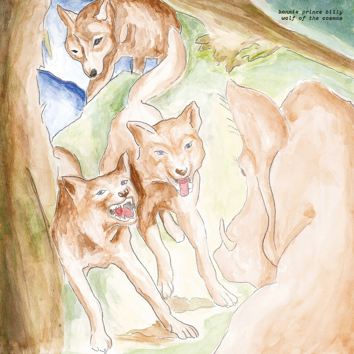 Afbeelding van Bonnie "Prince" Billy - Wolf Of The Cosmos