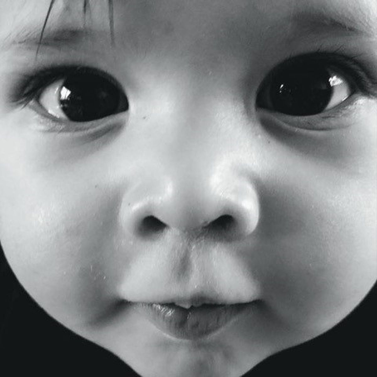 Afbeelding van Wolfgang Vanwymeersch - The Early Years