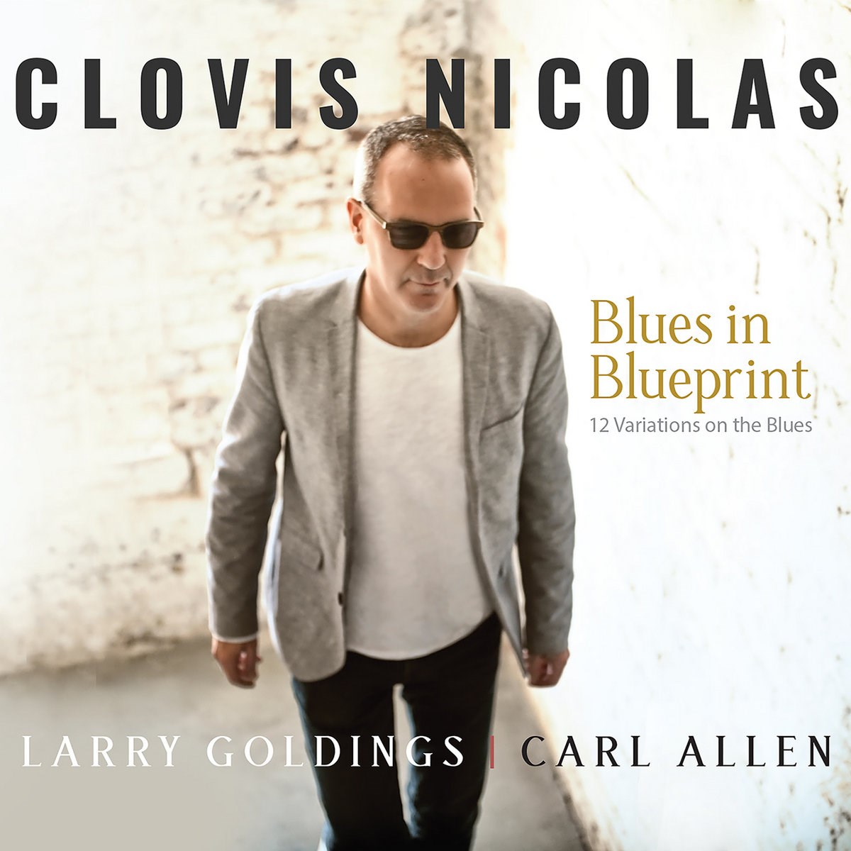 Afbeelding van Clovis Nicolas - Blues In Blueprint