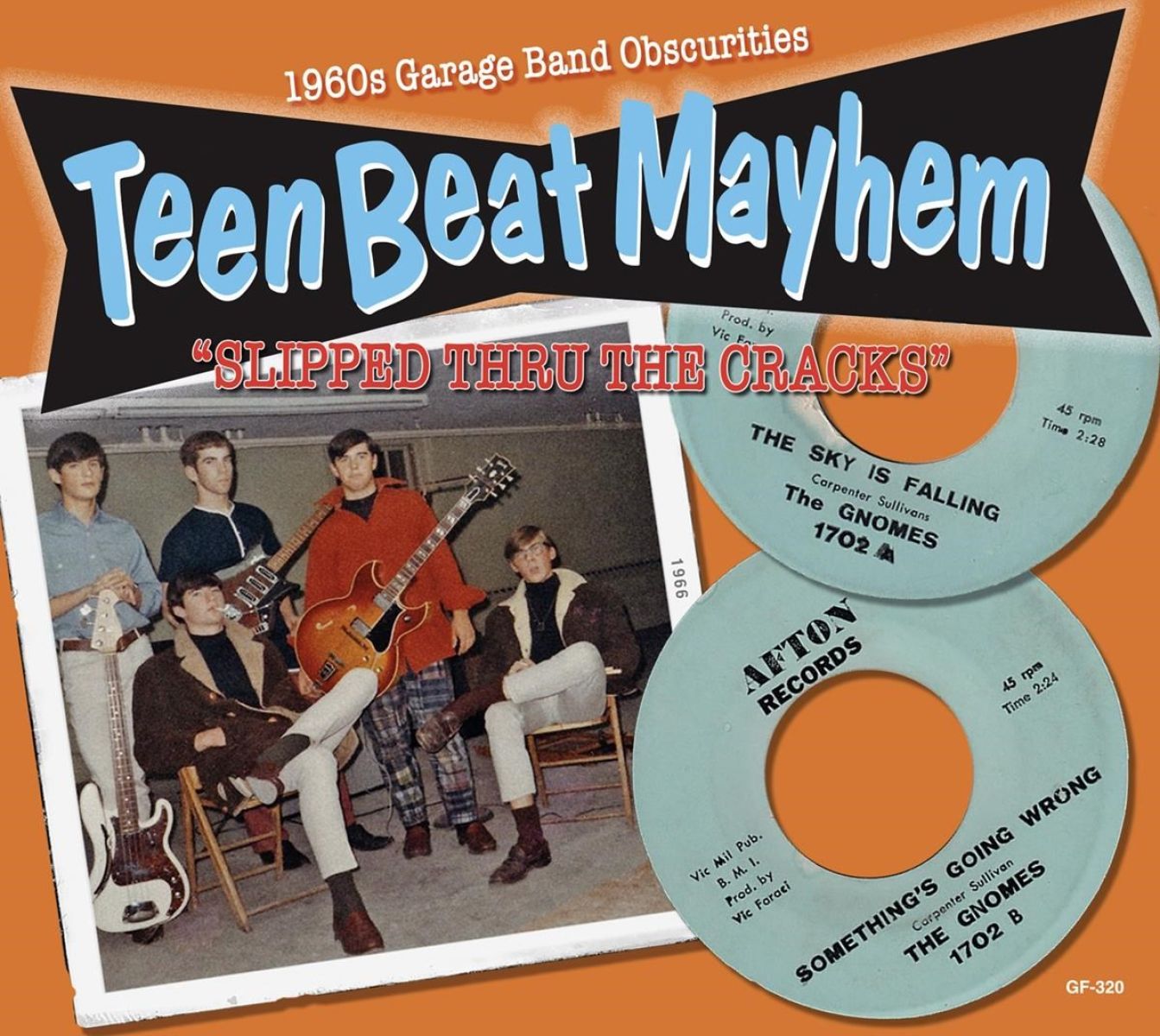 Various Artists - TeenBeat Mayhem : Slipped Thru The Cracks