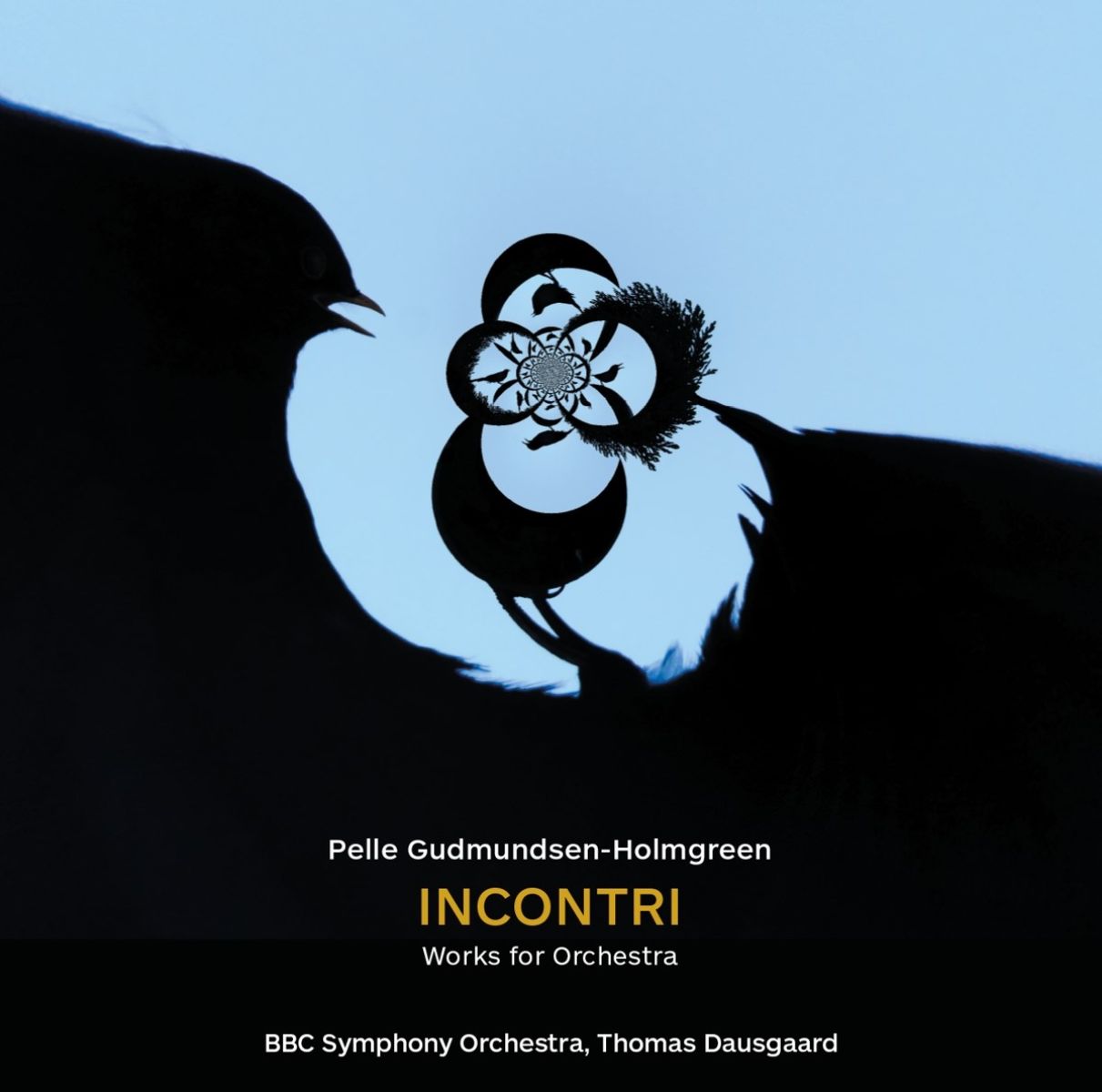 Afbeelding van BBC Symphony Orchestra, Thomas Dausgaard - Gudmundsen-Holmgreen: Incontri