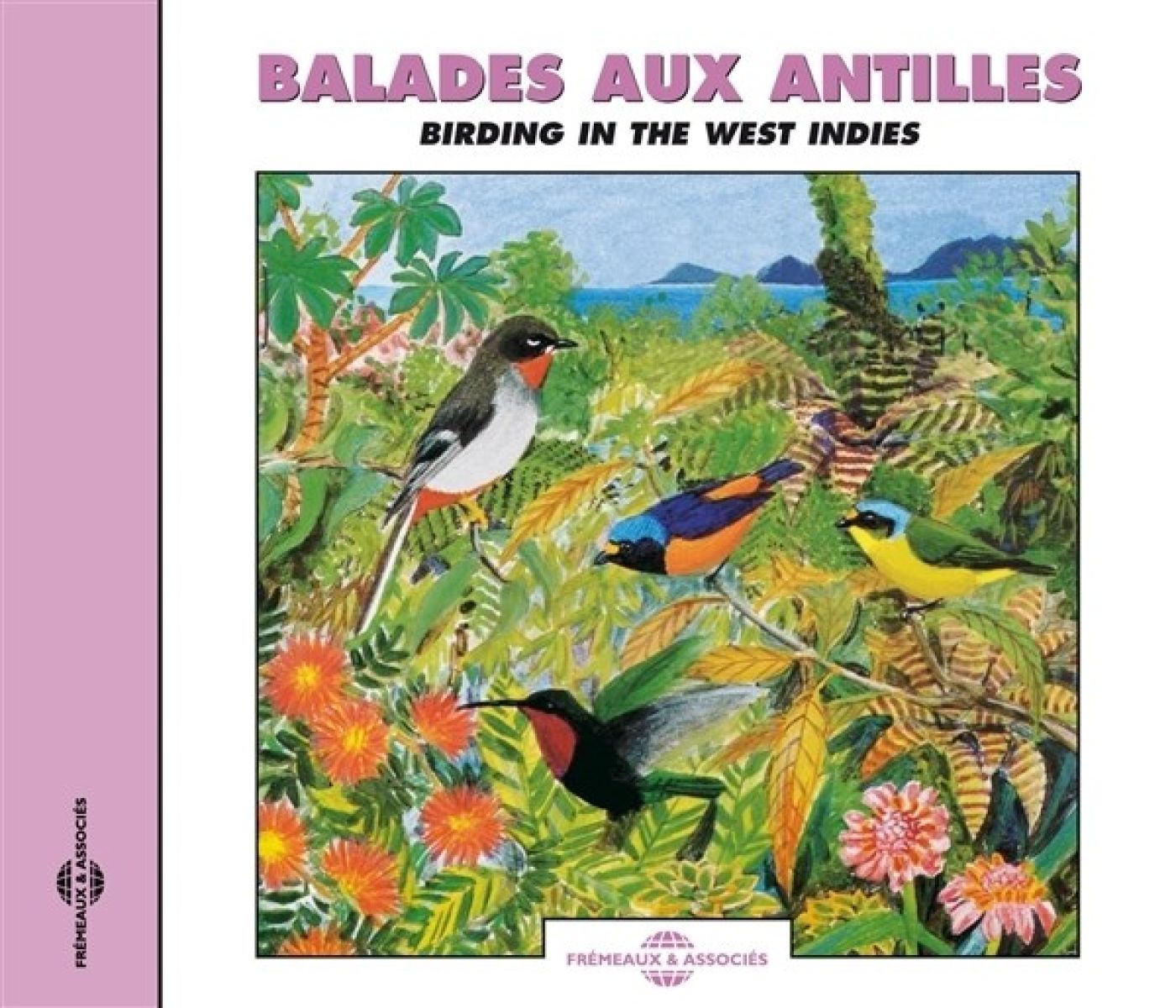 Afbeelding van Various Artists - Balades Aux Antilles