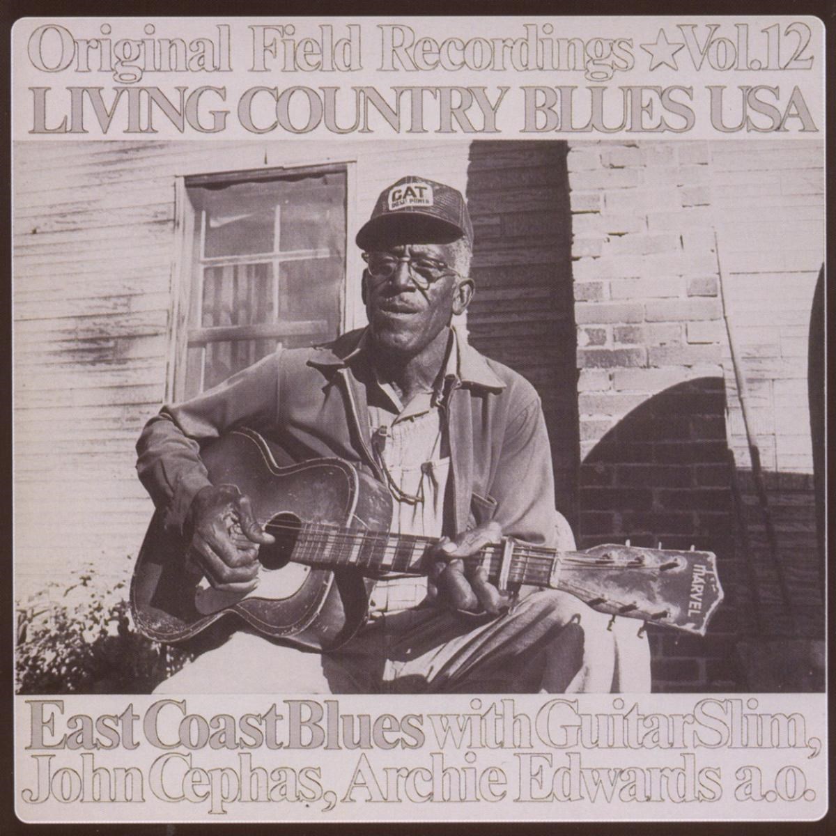 Afbeelding van Various Artists - Living Country Blues USA Volume 12