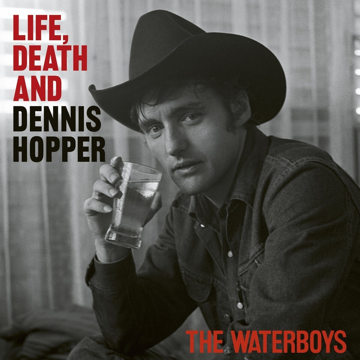 Afbeelding van The Waterboys - Life Death & Dennis Hopper