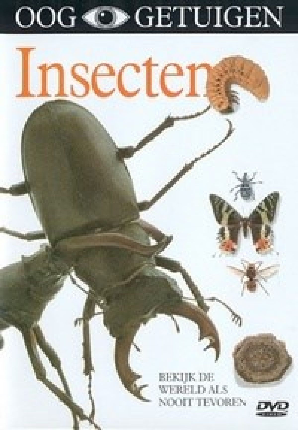 Afbeelding van Ooggetuigen - Insecten