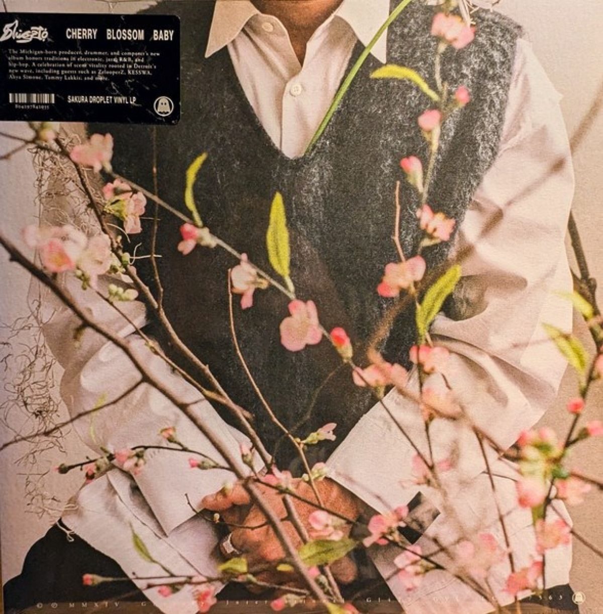 Afbeelding van Shigeto - Cherry Blossom Baby