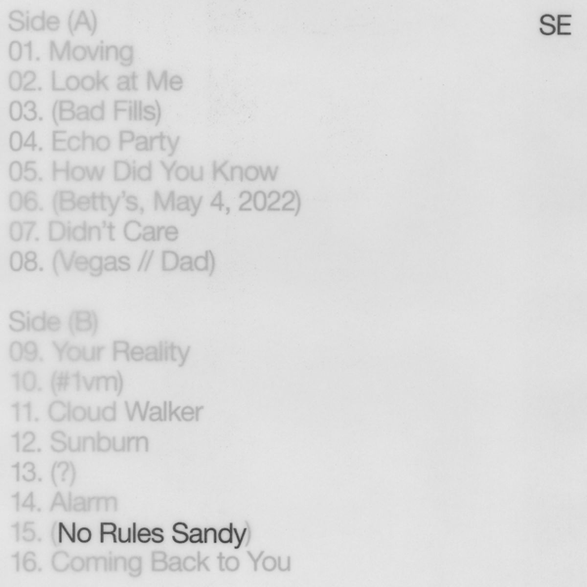 Afbeelding van Sylvan Esso - No Rules Sandy