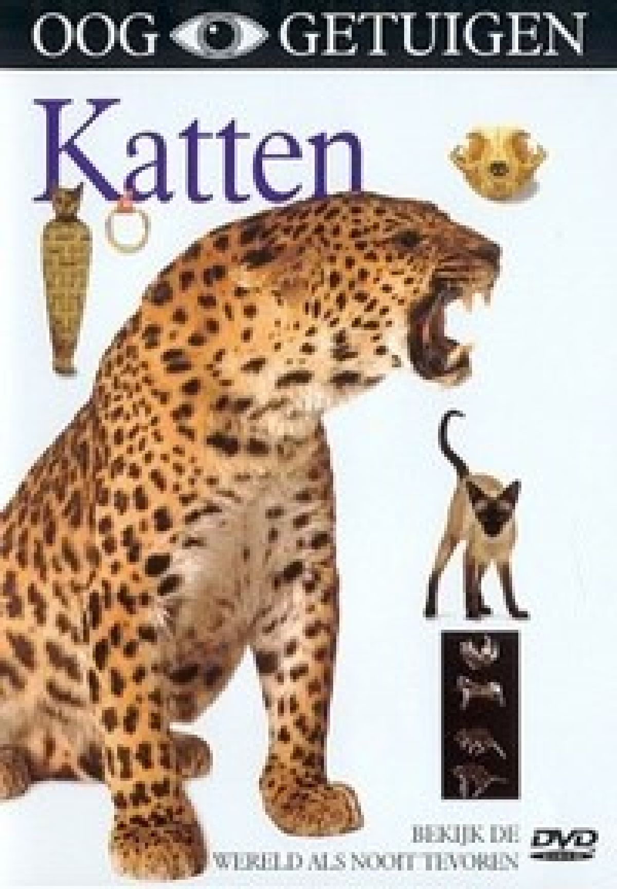 Afbeelding van Ooggetuigen - Katten