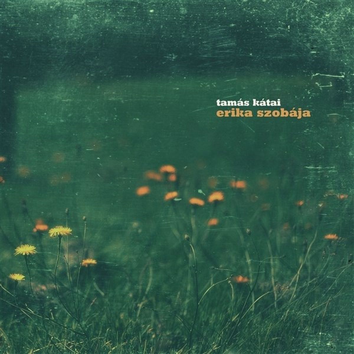 Afbeelding van Tamas Katai - Erika Szobaja